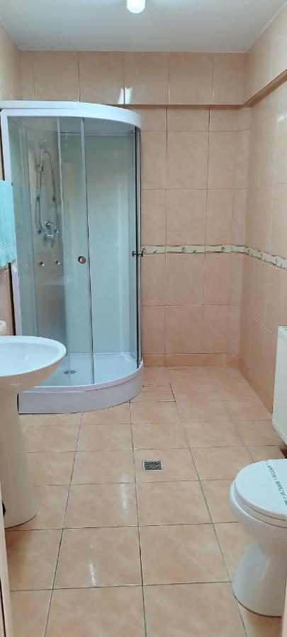 Cazare Hofmann Arad Exterior foto